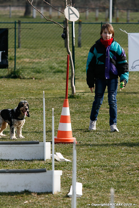 Flyball-NARCASTET-13-03-2010-00002