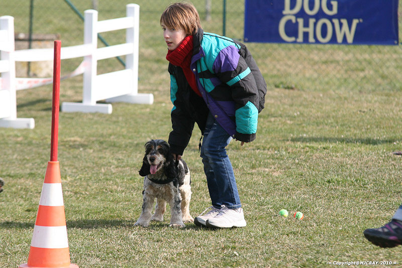 Flyball-NARCASTET-13-03-2010-00025