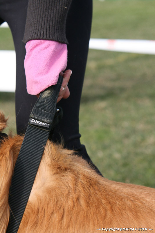 Flyball-NARCASTET-13-03-2010-00082