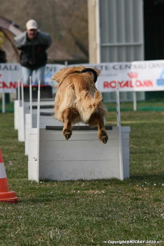 Flyball-NARCASTET-13-03-2010-00086