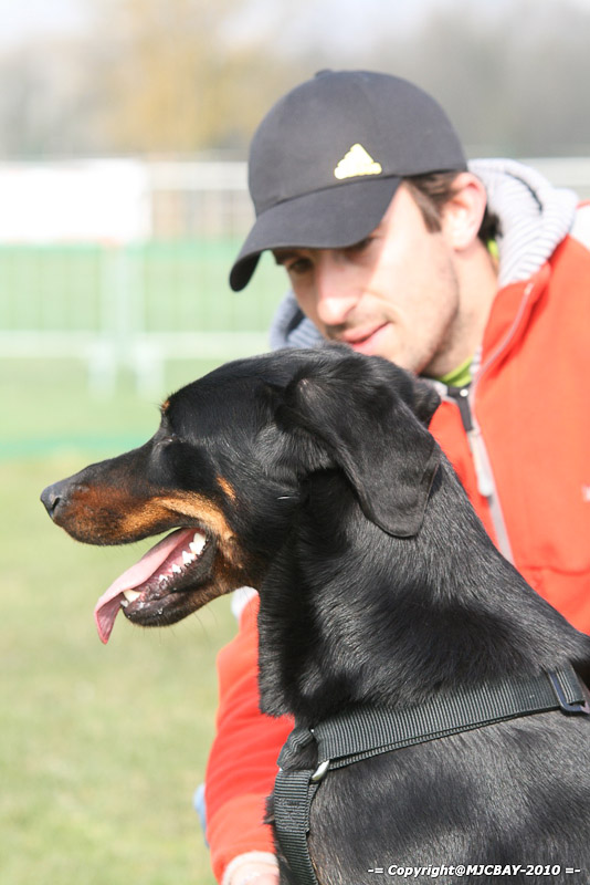 Flyball-NARCASTET-13-03-2010-00099