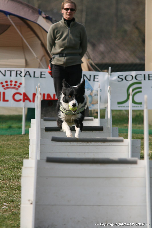 Flyball-NARCASTET-13-03-2010-00139