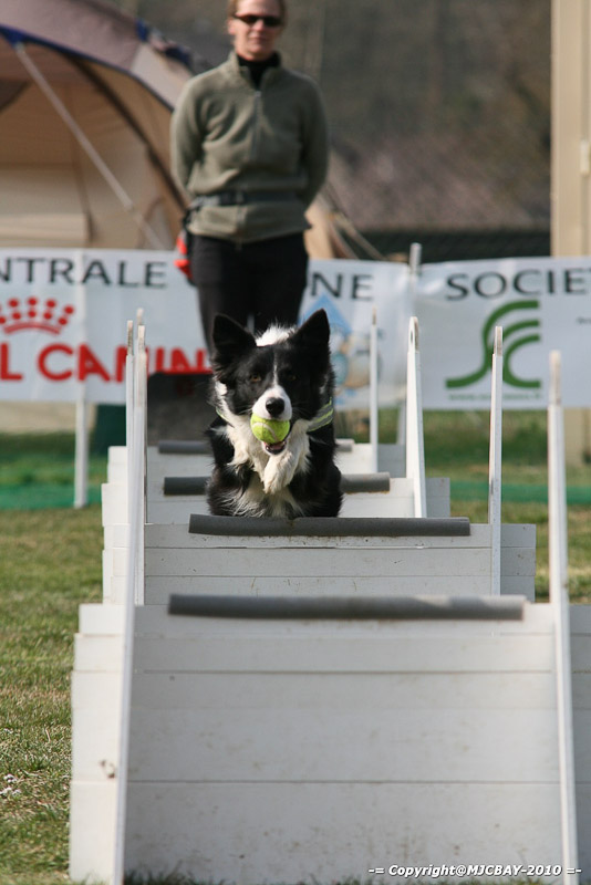 Flyball-NARCASTET-13-03-2010-00140