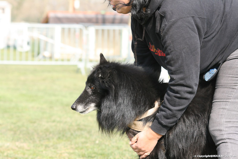 Flyball-NARCASTET-13-03-2010-00148