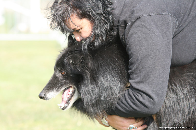 Flyball-NARCASTET-13-03-2010-00149