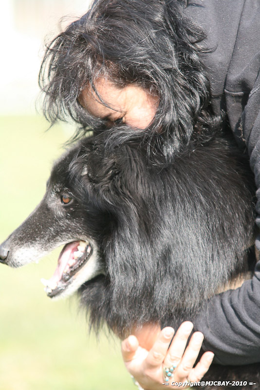 Flyball-NARCASTET-13-03-2010-00150