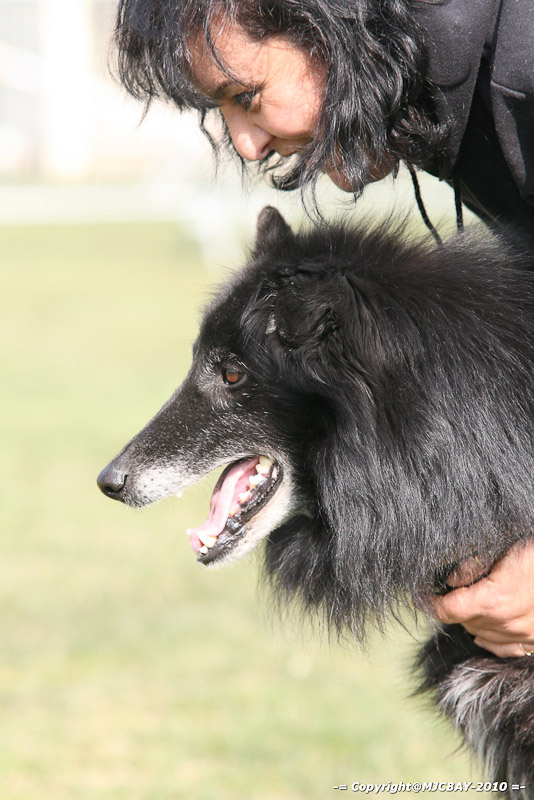 Flyball-NARCASTET-13-03-2010-00151