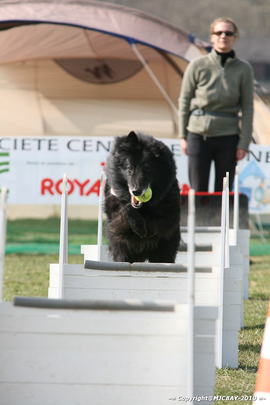 Flyball-NARCASTET-13-03-2010-00159
