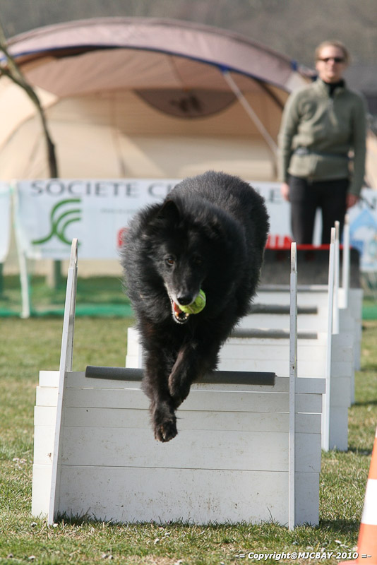 Flyball-NARCASTET-13-03-2010-00160