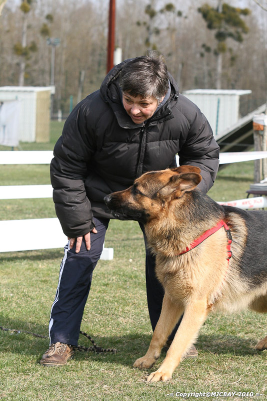Flyball-NARCASTET-13-03-2010-00174