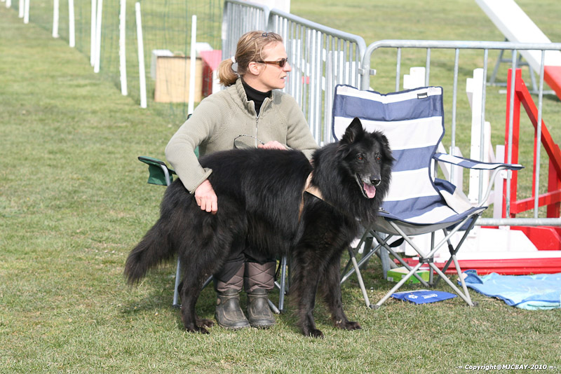 Flyball-NARCASTET-13-03-2010-00179