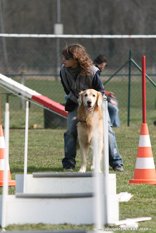 Flyball-NARCASTET-13-03-2010-00181