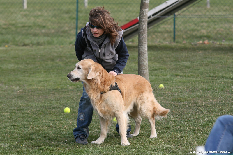 Flyball-NARCASTET-13-03-2010-00193