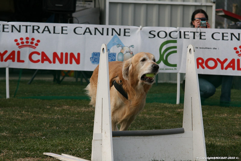 Flyball-NARCASTET-13-03-2010-00196