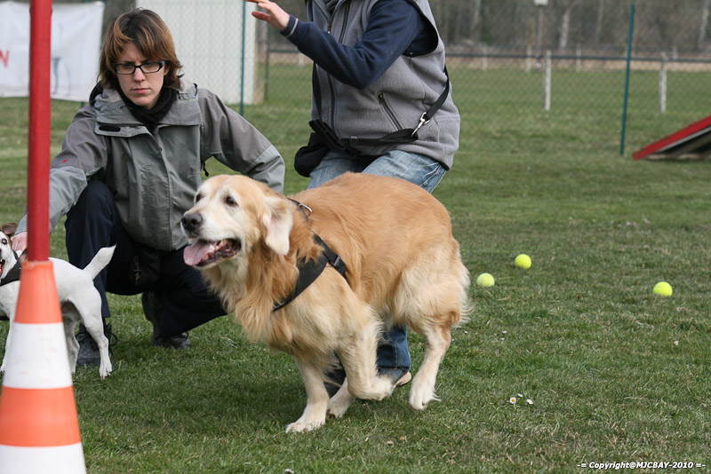 Flyball-NARCASTET-13-03-2010-00206