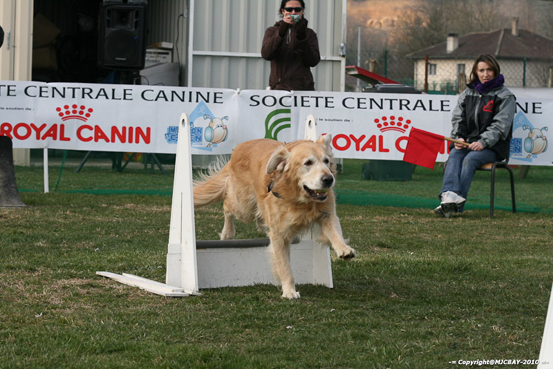 Flyball-NARCASTET-13-03-2010-00209