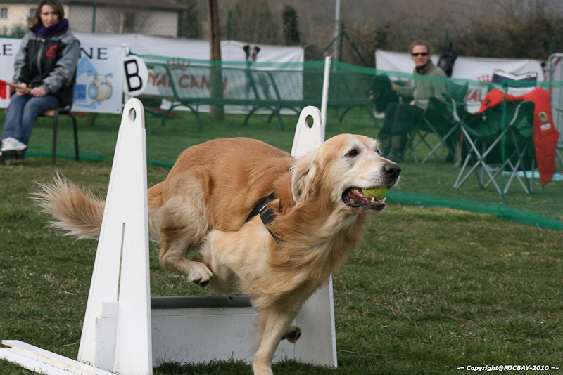 Flyball-NARCASTET-13-03-2010-00210