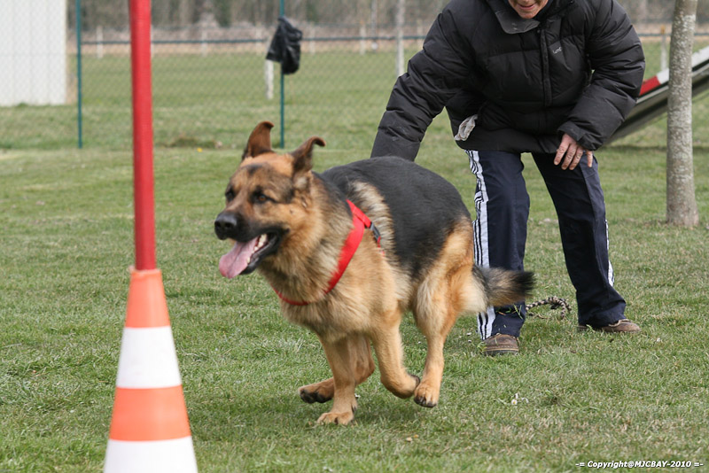 Flyball-NARCASTET-13-03-2010-00234