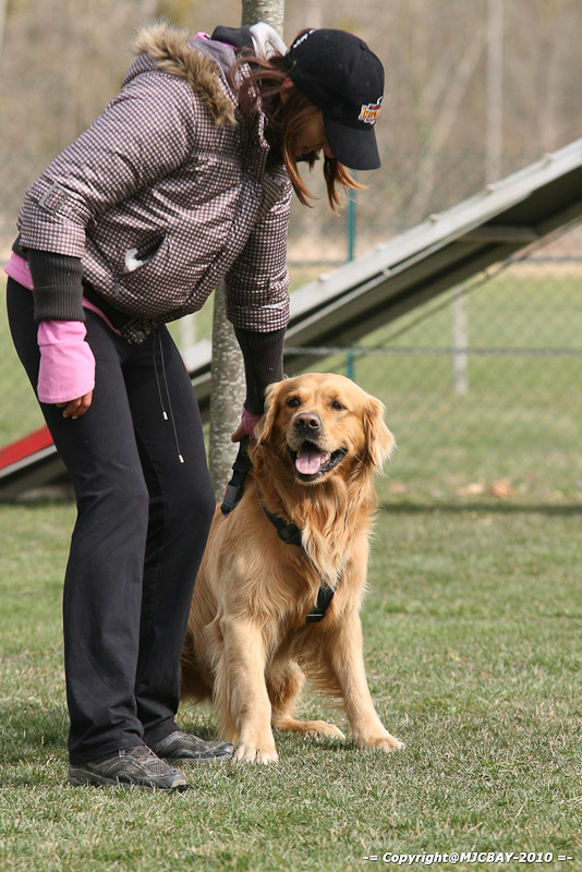 Flyball-NARCASTET-13-03-2010-00252