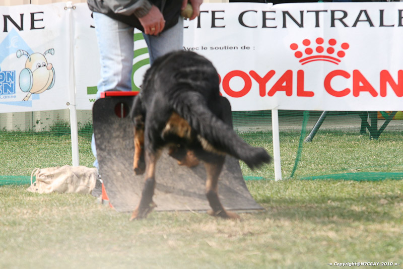 Flyball-NARCASTET-13-03-2010-00258