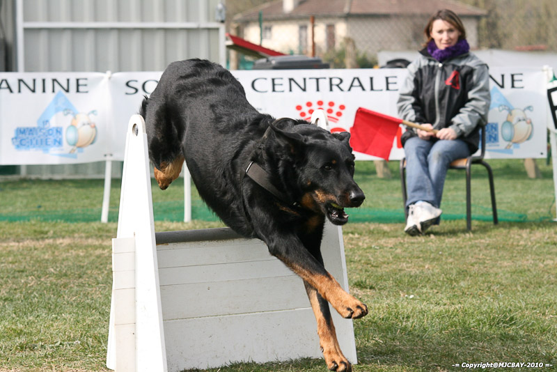 Flyball-NARCASTET-13-03-2010-00260