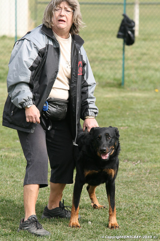 Flyball-NARCASTET-13-03-2010-00265
