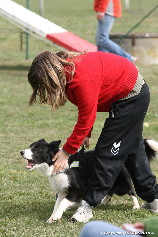 Flyball-NARCASTET-13-03-2010-00271