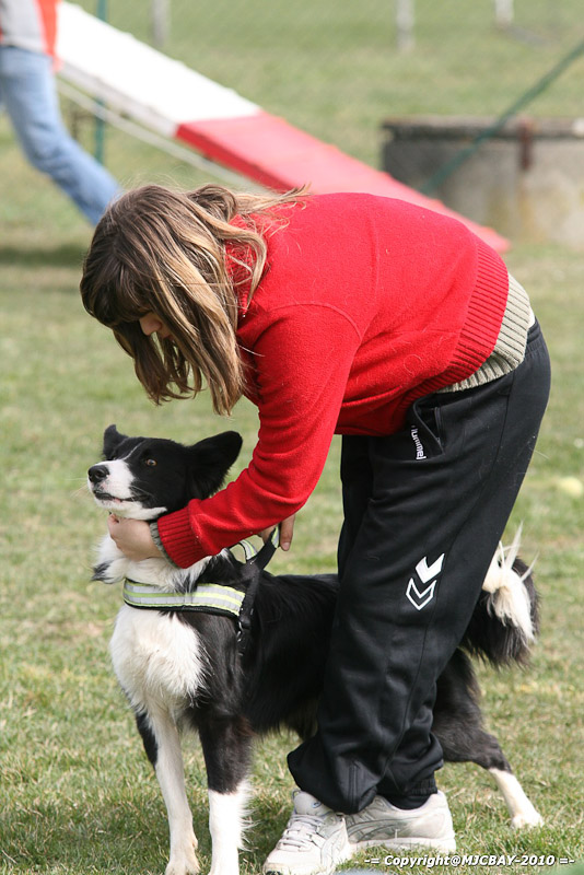 Flyball-NARCASTET-13-03-2010-00272