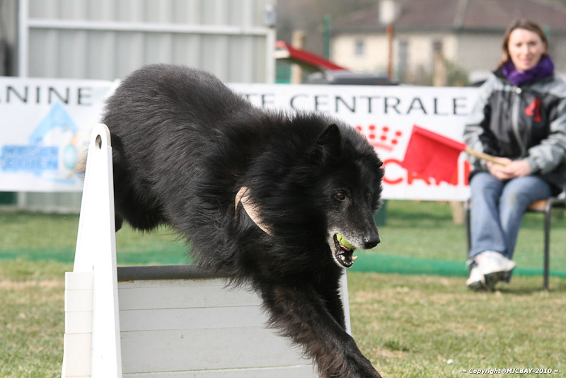 Flyball-NARCASTET-13-03-2010-00276