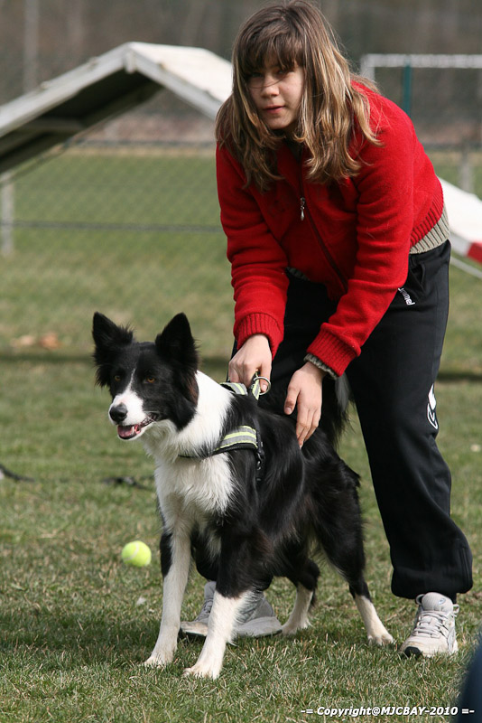 Flyball-NARCASTET-13-03-2010-00281