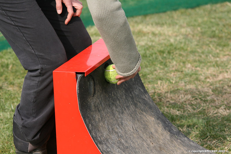 Flyball-NARCASTET-13-03-2010-00296