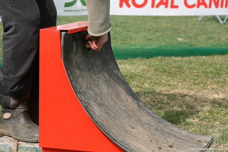 Flyball-NARCASTET-13-03-2010-00298